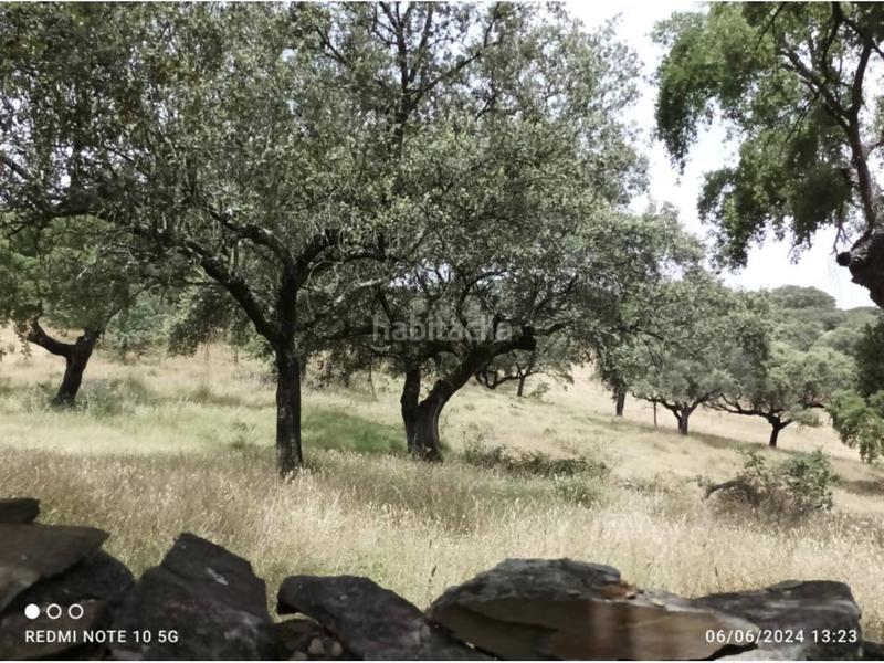 Foto 6d403b45-485a-43b2-b24a-8cd7e8eb98d0. Finca rústica a Higuera de Vargas