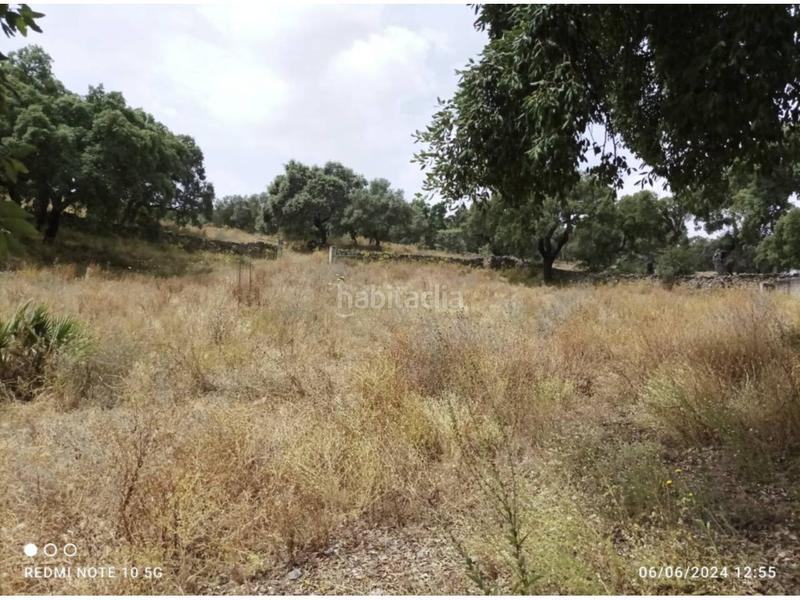 Foto a43192c1-9558-45b3-a586-9f95fbfa7390. Finca rústica a Higuera de Vargas