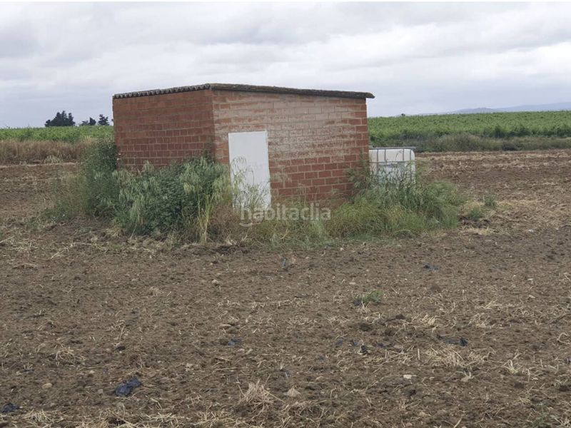 Foto ad6257ef-1653-4a9b-a9d1-41d058e7c909. Finca rústica a Las Vaguadas Badajoz