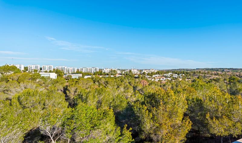 Foto e848f8e1-8cee-494e-aaeb-5f9c39309dbc. Casa en Lomas de Campoamor - Las Ramblas Orihuela
