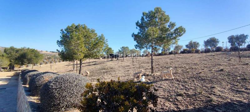 Foto 2efa5ff9-8e2f-4dd9-9e9b-bfcfc5807ea4. Maison dans Pinoso