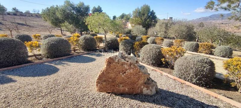 Foto 7c14e4dc-71dd-43c4-bc84-09bd996653d3. Maison dans Pinoso