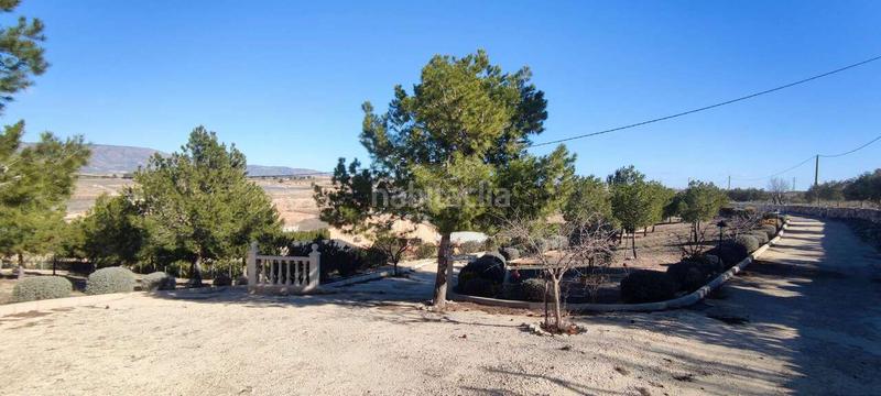 Foto c145406c-ea66-4ed6-becd-f733cd7a4b5a. Maison dans Pinoso