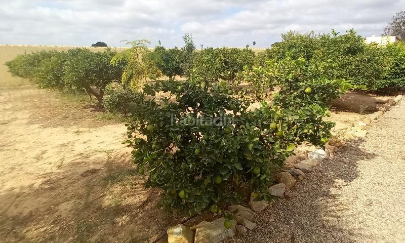 Foto 1abd7a6e-d819-4a44-a1e6-a958bf24cef8. Masía en El Mirador Pozo Aledo San Javier
