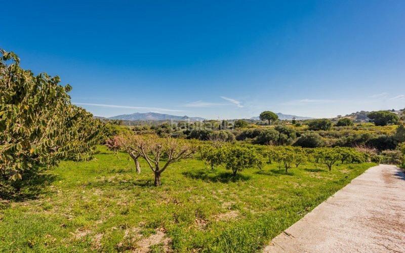 Foto 1dce8695-ea4c-4b9b-acb9-6f706a29a8d0. Casa in Zona Calvario Estepona
