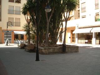 Local commercial à Pinar de Advocat-Cometa