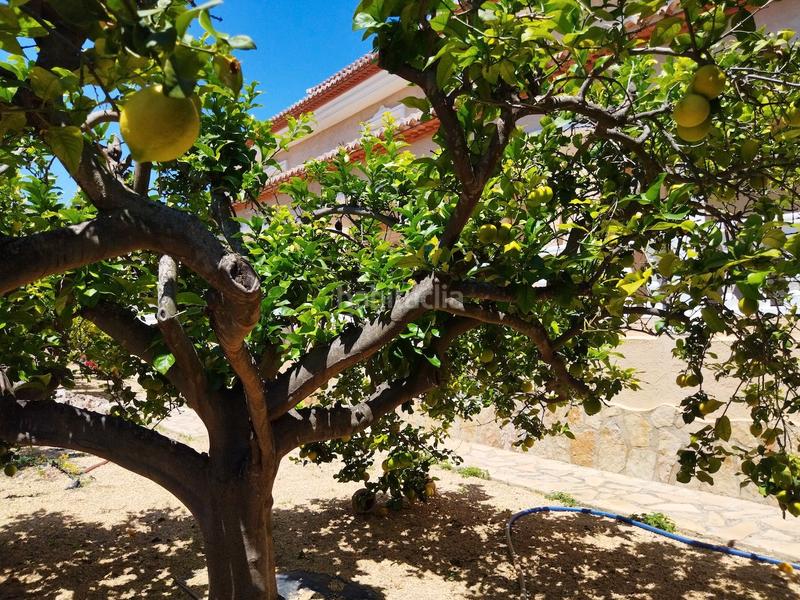 Foto cf502540-1595-4e44-8c96-f2079b2a252d. House in Canuta Calp