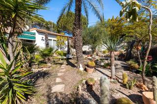 Casa en Lomas de Cabo Roig - Los Dolses