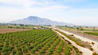 Masia a Callosa de Segura