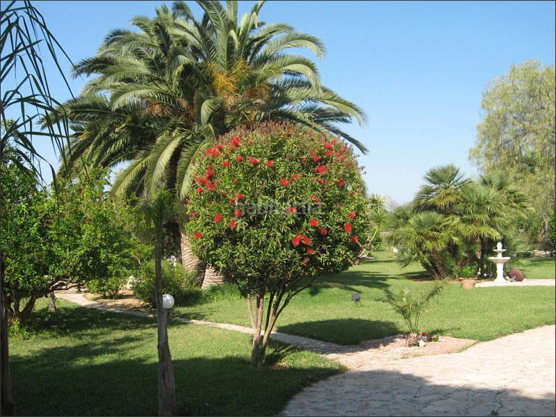 Foto a1a5b0b7-89d4-4695-ad29-6539071a0c99. Casa en La Pedrera-Vessanes Dénia