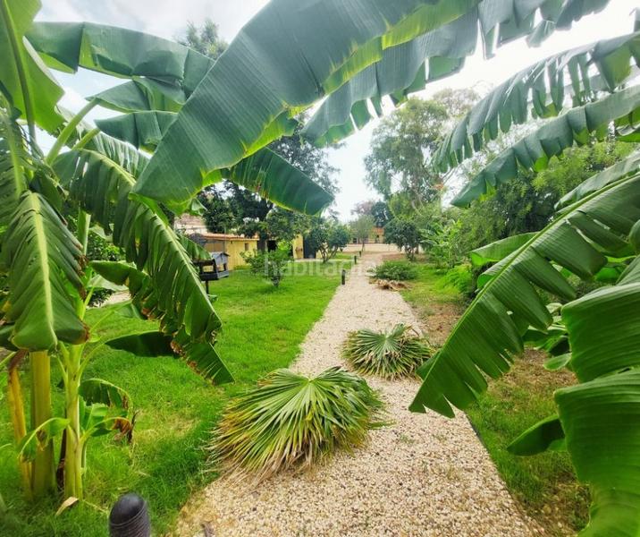 Foto 723e3930-11ba-4c53-83c4-33b048cde996. House with pool in Altea ciudad Altea