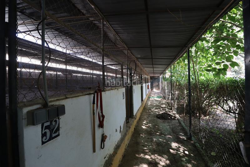 Foto a5baea99-0ebd-4693-b526-48a6d7f35589. Bauernhof mit parking in Sangonera la Seca Murcia