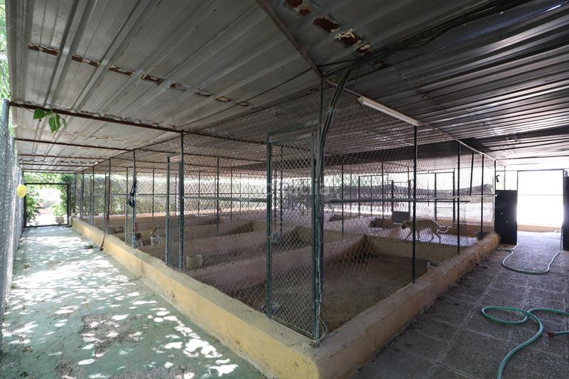 Foto 6f567e8a-995e-4d0e-9897-fa7b422b8d88. Country house with parking in Sangonera la Seca Murcia