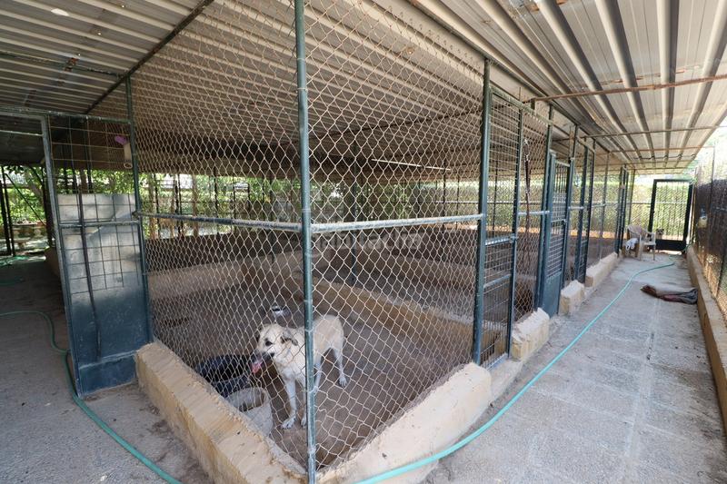 Foto bbf3bae2-ece2-4eaa-bd4b-48fa4ebc1958. Country house with parking in Sangonera la Seca Murcia