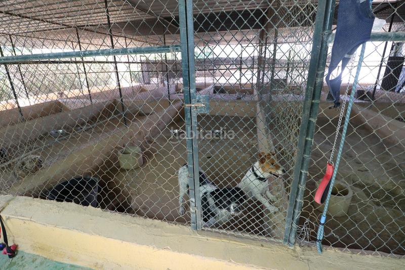 Foto c44161f6-76b4-4dc0-a56d-861e56e0db22. Country house with parking in Sangonera la Seca Murcia