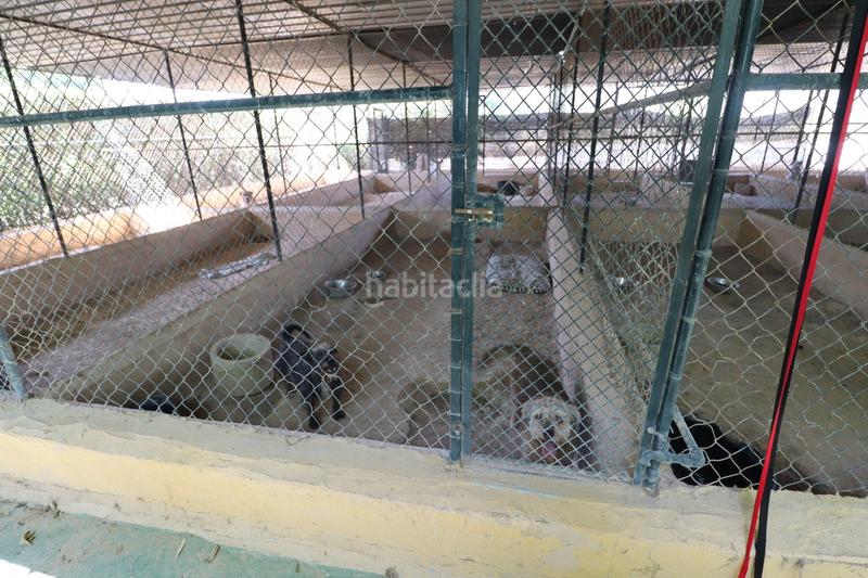 Foto f87c34b1-4fed-4b77-a956-08c500853516. Country house with parking in Sangonera la Seca Murcia