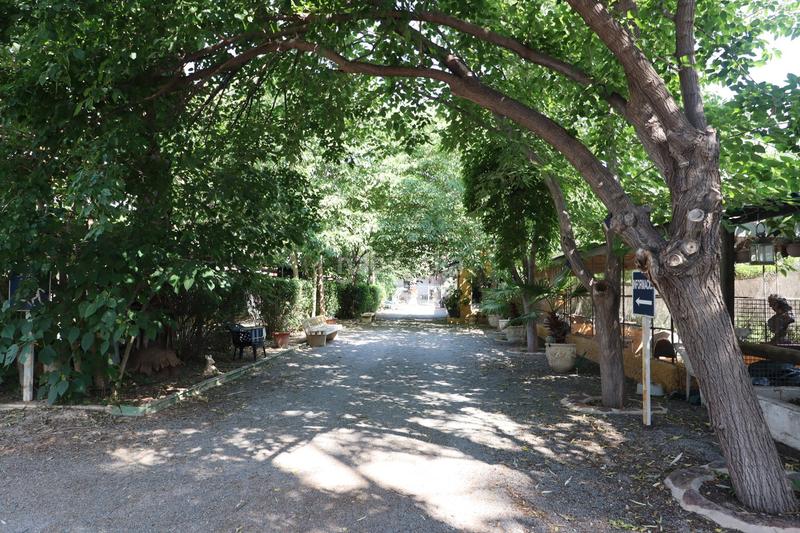 Foto fe13c84c-2c7d-4dec-8a50-5c2423480fc7. Country house with parking in Sangonera la Seca Murcia