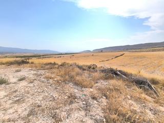 Mas à Jumilla