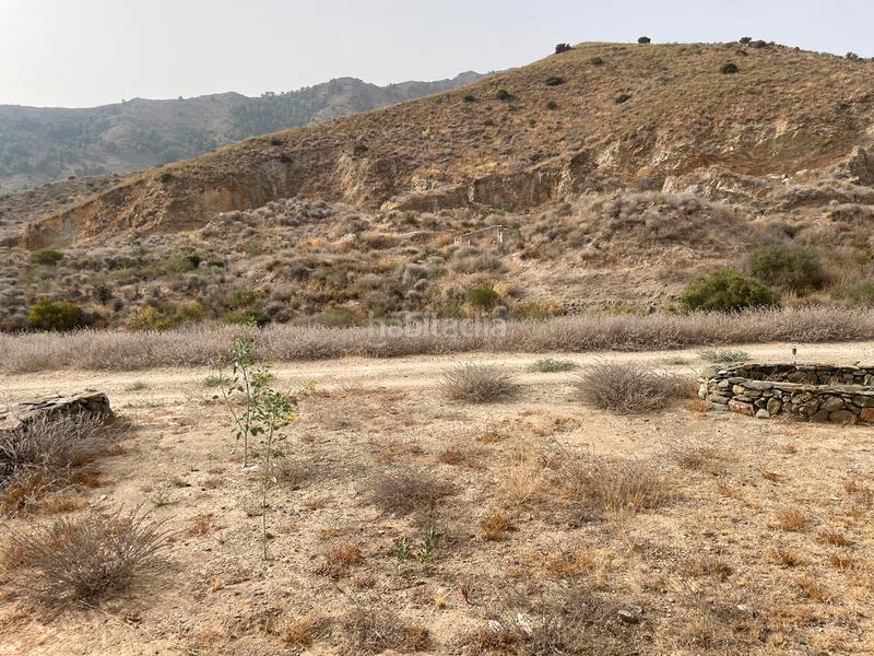 Foto a771292e-db23-449b-9be4-d56f74f8f27c. Bauernhof in La Pinilla - Las Palas Fuente Álamo de Murcia