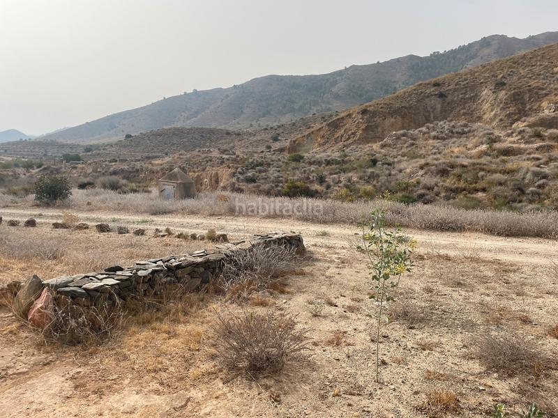 Foto 1a45f2d0-c5ee-409c-83d1-ed1269fd05a9. Mas dans La Pinilla - Las Palas Fuente Álamo de Murcia