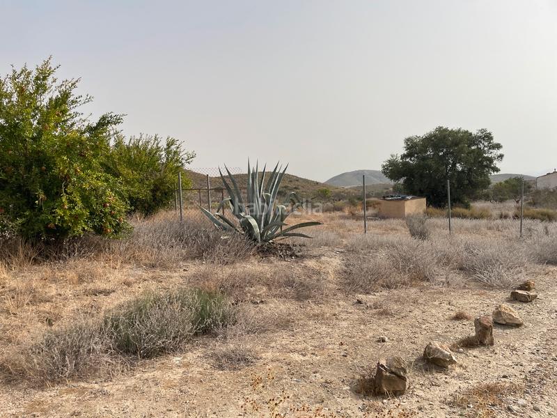 Foto f12755d8-6055-41ea-9e81-97367987f40d. Mas dans La Pinilla - Las Palas Fuente Álamo de Murcia
