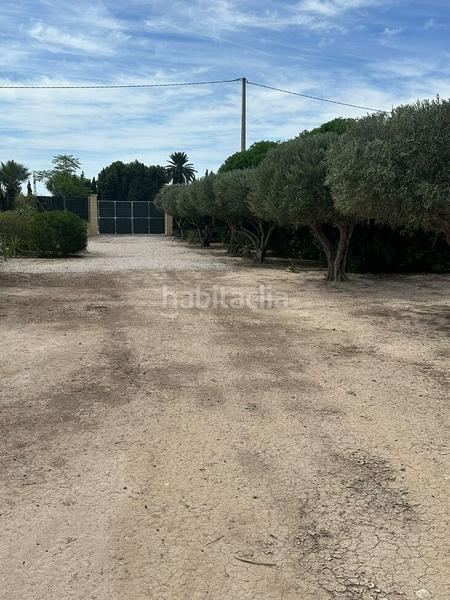 Foto 71623df8-2e25-46be-9acf-379f4c7662d4. Mas avec piscine dans Carrús Oeste Elche / Elx