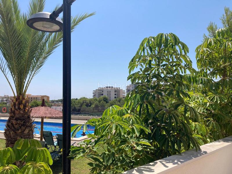 Foto afe87738-3217-4cba-9428-0f9c347eddea. Apartamento en Lomas de Cabo Roig - Los Dolses Orihuela