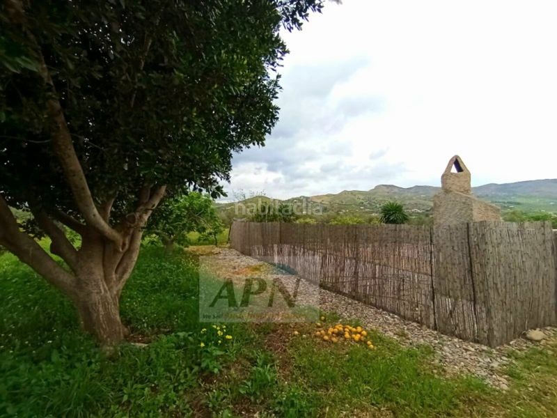 Foto 633bc912-82ff-4220-b750-6086dcf864fe. Masia a Álora