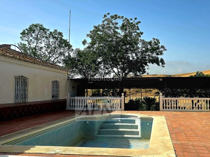 Foto 7e3541ff-c121-411a-9a3e-5d7c7af14f56. Casale in Álora