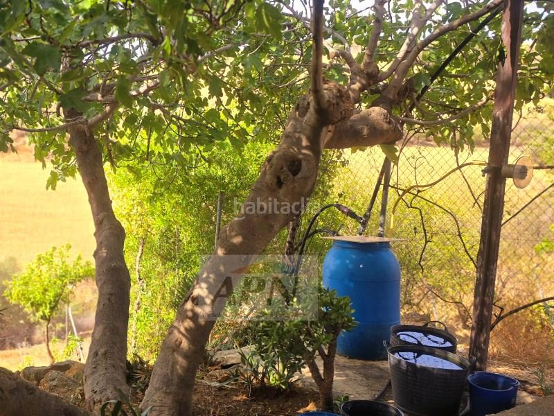 Foto a029f5a0-9da1-47be-9270-c237fc6000bf. Casale in Álora