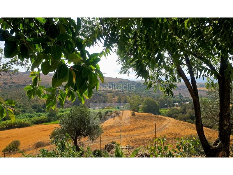 Foto 454ea3c5-7c04-4526-a466-5d0914049c77. Mas dans Álora