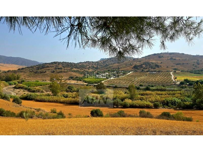 Foto be588e47-e3b7-4aee-a5e7-37c7e183bca7. Mas dans Álora