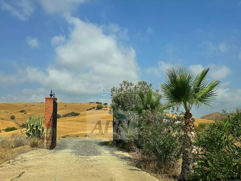 Foto d0f2be8d-92b9-4c02-abe2-f2167dc6d1d2. Mas dans Álora