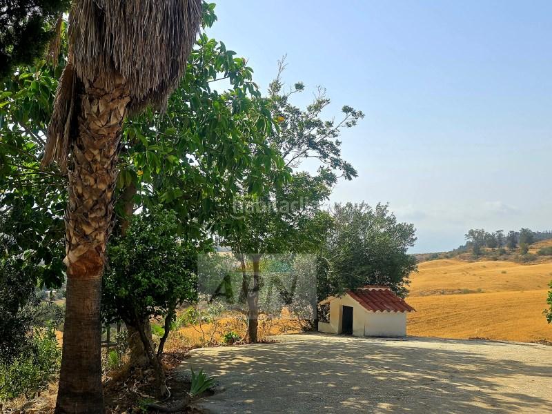 Foto fd4a90e8-1cf9-4f27-88db-f3311c23f74a. Mas dans Álora