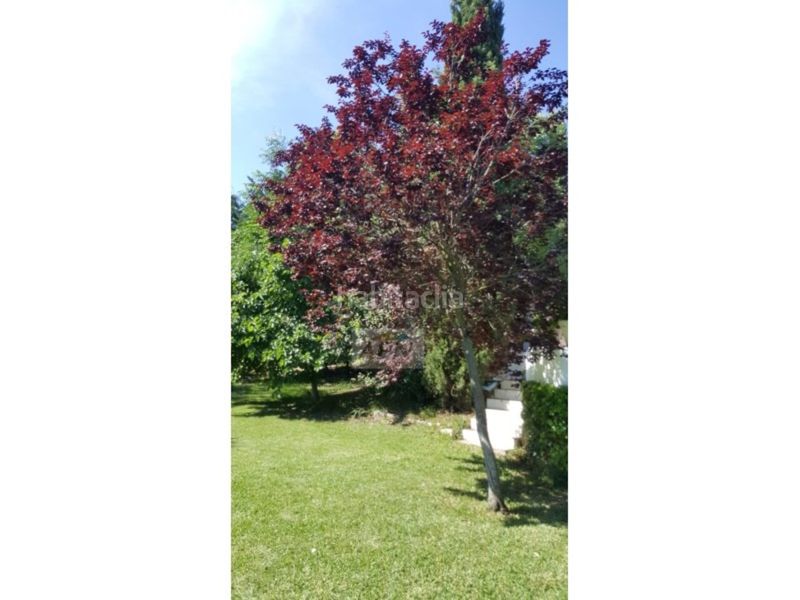 Foto 5647274f-9907-4a62-850a-bdd59d540e2e. Masia a Álora
