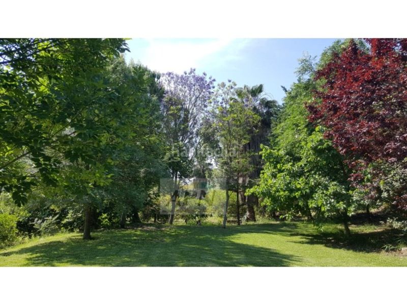 Foto c858c0ac-a8e5-462c-9d31-a705e955f561. Masia a Álora