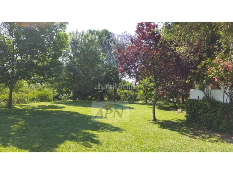 Foto ed3b2fe6-21dd-4b94-b835-32933ea0f025. Masia a Álora