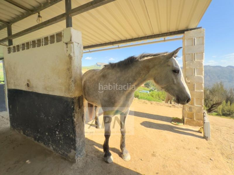 Foto 34033e86-e24b-4329-8cd6-f0dcec6e5ba2. Casale in Pizarra