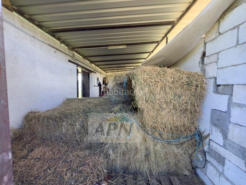 Foto 95895a1d-e2bb-4816-8e28-b4511f08ebec. Casale in Pizarra