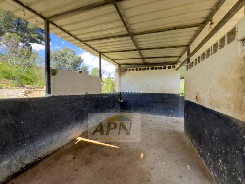 Foto a1b765a0-ae5e-4f7a-8573-27086de2dbbf. Casale in Pizarra