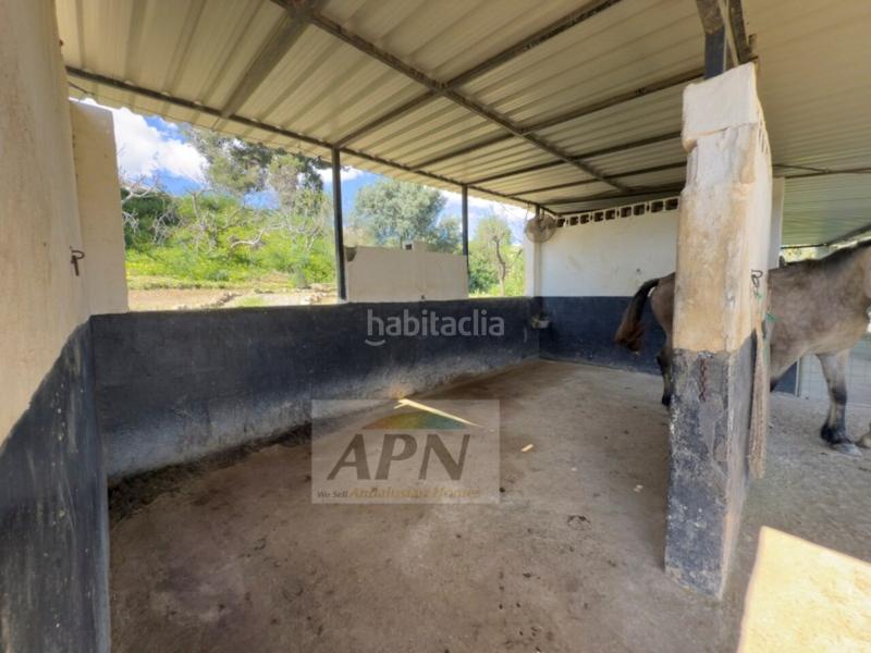 Foto cce09801-96df-4b7c-a38b-c83f88f1388e. Casale in Pizarra