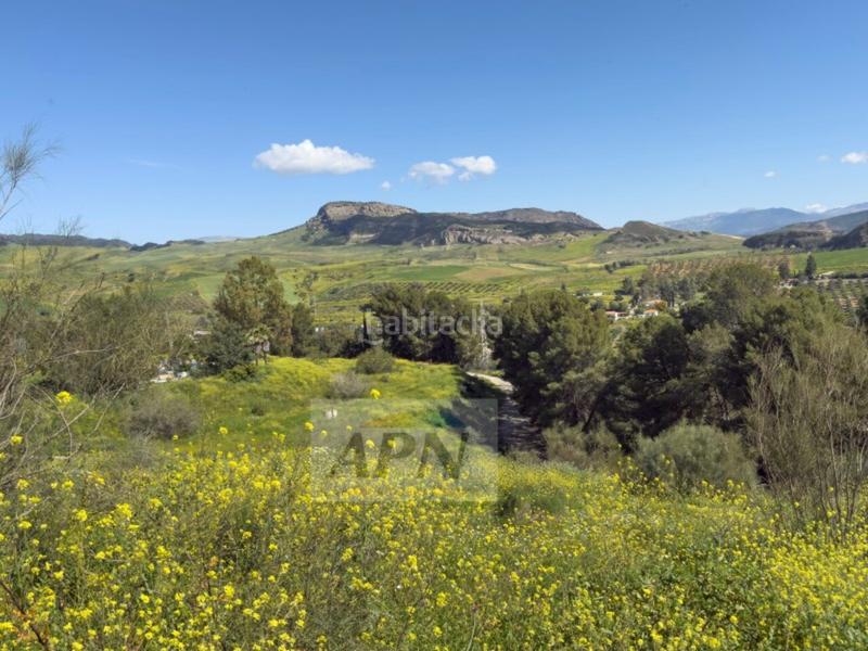 Foto d37abb7a-07f2-462b-8f5c-80d51c3409f4. Casale in Pizarra