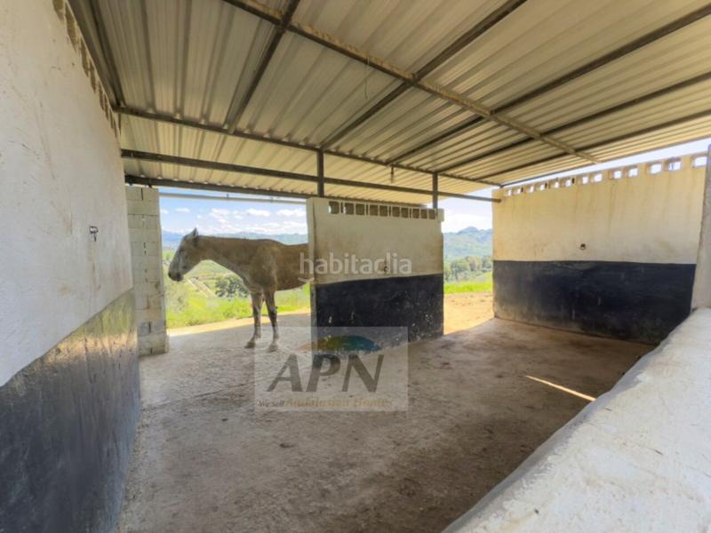 Foto 2f7835c0-d75f-46ed-9196-704873ef422e. Masia a Pizarra