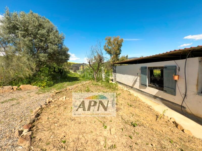 Foto 807756ff-7024-4d06-89b4-267fba75ea72. Masia a Pizarra