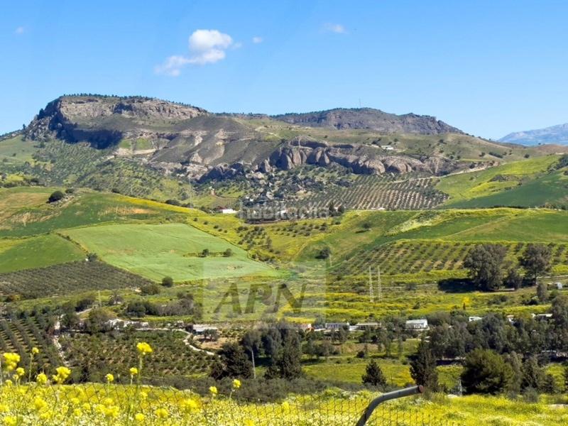 Foto 8088f220-1871-446b-b72f-ea6d04bb7464. Masia a Pizarra