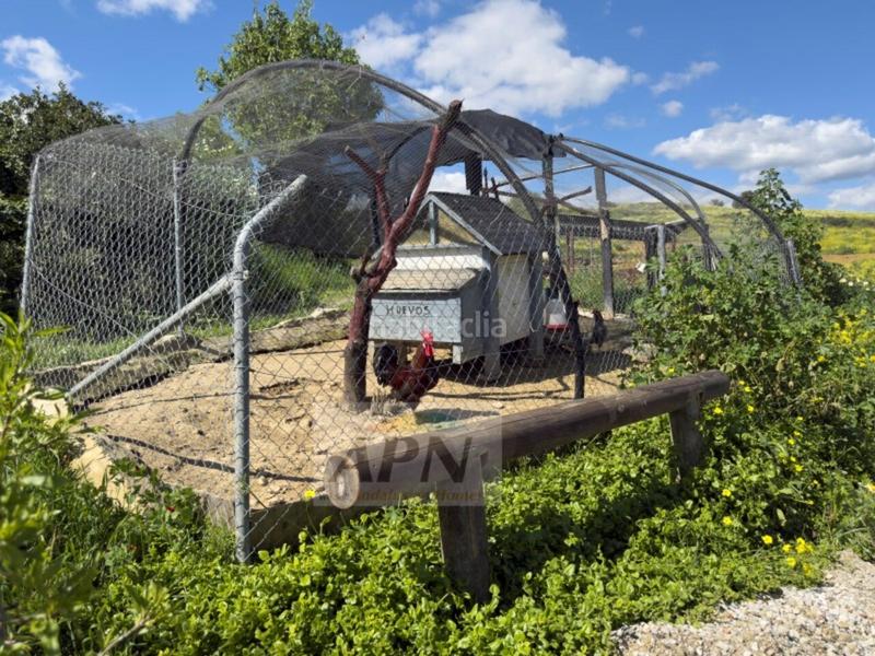 Foto ac0014ea-bd59-4ea8-95d0-fd088d776a95. Masia a Pizarra