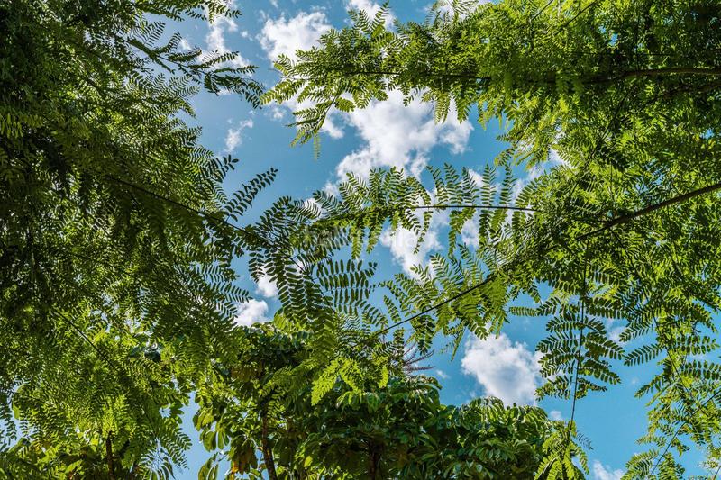 Foto 748c9748-f33d-43c5-9cb8-3918f4ff6d91. Ático en Guadalmina Baja Marbella