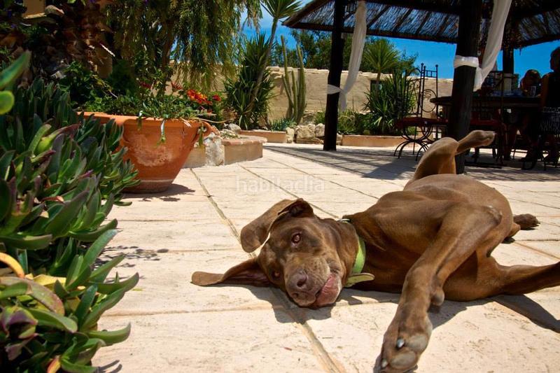 Foto 5b4769ff-87f6-43a7-9692-dd80b91fe650. Bauernhof mit pool in Benissa pueblo Benissa