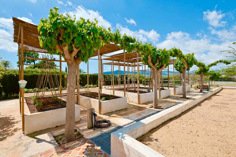 Foto 3ef65de6-25fa-4e83-aa1d-cac7b982aa35. House in Partida Tosal - Zona dels Castellans Xàbia