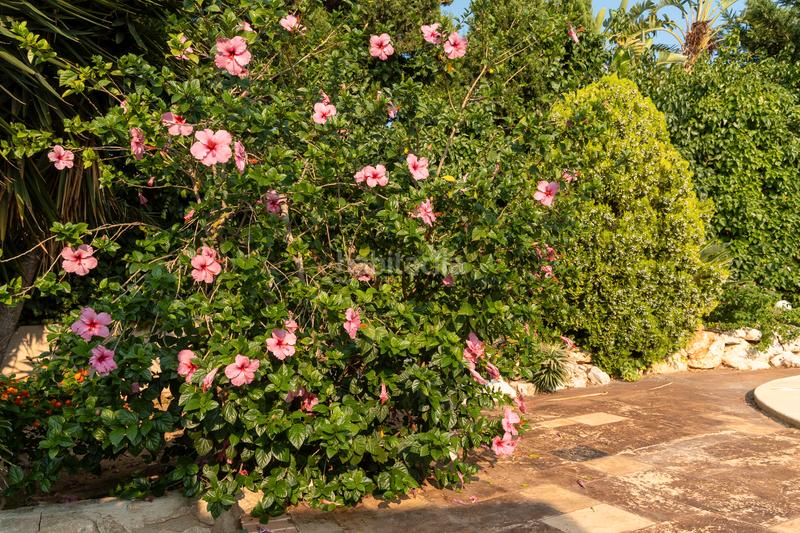 Foto 4fa9f6bf-c16e-4bb5-8a5a-7ae0dd6aa1d0. Casa in Cap Martí - El Tossalet - Pinomar Xàbia